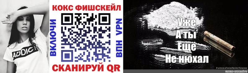 как найти   Осташков  Cocaine Fish Scale 