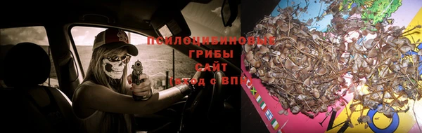 трава Армянск