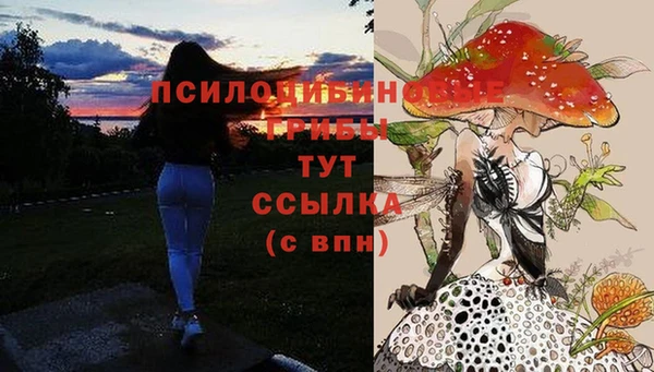 трава Армянск