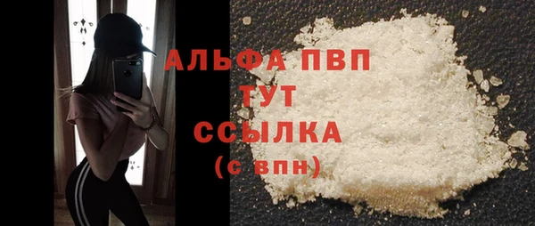 индика Куйбышев