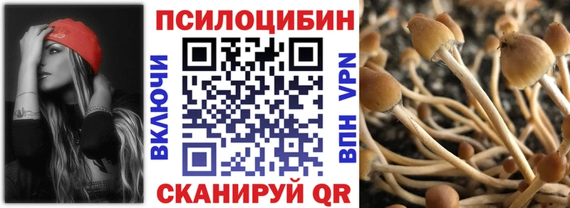 МЕГА зеркало  Осташков  Псилоцибиновые грибы мицелий  наркошоп 